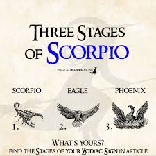 Stages Of Zodiac Signs Magical Recipes Online Zodiac Signs Scorpio Zodiac Facts Zodiac Signs Scorpio