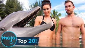 Male platypuses have poisonous spurs. Top 20 Adorable Animals That Could Kill You Watchmojo Com