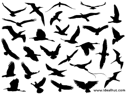 Free Flying Bird Silhouettes Vector Flying Bird Silhouette Bird Silhouette Tattoos Bird Silhouette