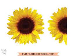 Free Free 342 Clipart Sunflower SVG PNG EPS DXF File