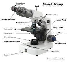 Parts Of A Compound Microscope With Labeled Diagram And Functions Microbiology Microscope Parts Microscope