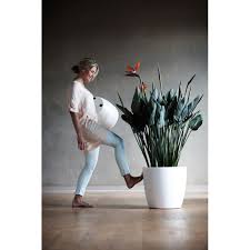 Colorful indoor plant pot 17. Contemporary Indoor Planters In Matt Finish With Wheels Online At Potstore Co Uk Ubertopf Blumentopf Weiss Ubertopf Gross