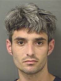 SCHUSTER, SAGE CHRISTOPHER Charges 812.014 2C6 (FT) VEH THEFT