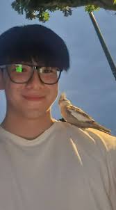 Preserving Bird City High School History and Memorabilia