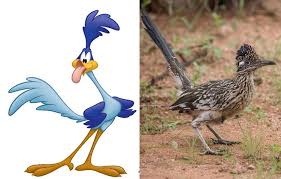 In this stunningly beautiful book, bird artist william t. Photos What Famous Cartoon Animals Look Like In Real Life