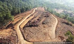 You need javascript enabled to view it. Malaysiakini Macc Urged To Probe Permit For Perak Forest Plantation Project