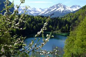 Maybe you would like to learn more about one of these? Freibergseeblick