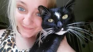 Lost black cat with white hair