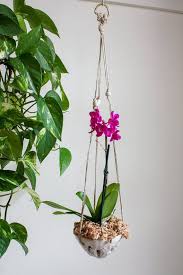 Many Orchids Love To Be Up In The Air And This Planter Will Keep Them Happy And Looking Beautiful In Your H Plant Lover Gift House Plant Pots Hanging Planters