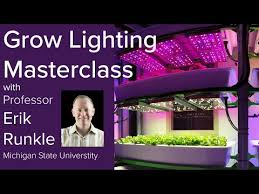 These best grow lights work great to grow marijuana. Led Grow Lights 2020 White Leds Household Led Bulbs And Led Tubes Ourfigs Com