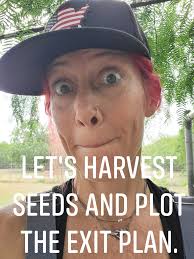 Aislynn Jamison Campbell (@aislynncampbell) • Instagram photos and videos