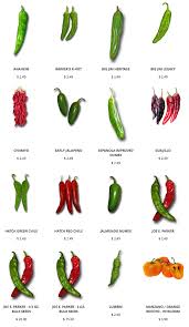 Check Out All These Varieties Of Hatch Green Chili Pepper Seeds At Http Www Sandiaseed Com Collections G Stuffed Peppers Stuffed Hot Peppers Hot Pepper Seeds
