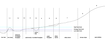 Image result for Ozoroa okavangensis