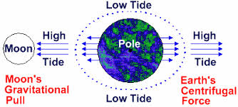 58 Particular High And Low Tides Chart