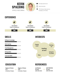 Online Cv Maker Maak Jouw Eigen Cv Venngage