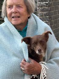 Dear old Bertie (11 yrs young) is keen to find a lovely retirement home  like Buster and is hoping that 2023 will be his year xxx He has come