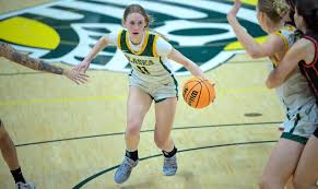 Image result for Emilia limosa