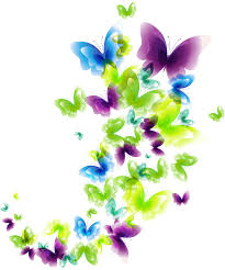 They must be uploaded as png files, isolated on a transparent background. Download Deco Png Picture Gallery Butterflies Clipart Transparent Background Full Size Png Image Pngkit