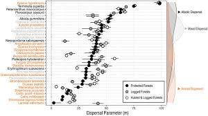 Image result for Strombosiopsis tetrandra