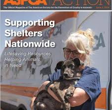 Another shout out to Dr....