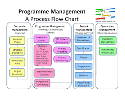Programme Management Flow Chart Process Flow Diagram