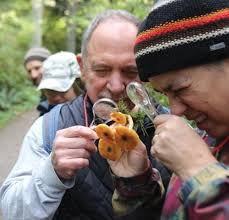 2023 North Cascades Institute Annual Report by North Cascades Institute