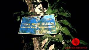 Kereta misteri jalan karak lama!! Paranormal Hantu Tiada Kepala Gombak Jalan Lama Balai Polis Youtube