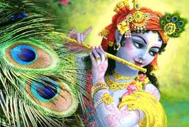 Check spelling or type a new query. Why The Krishna Adorns Peacock Feathers On His Forehead Know The Secret Newstrack English 1