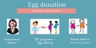 Egg donors receive $750 of their total. Egg Donation In Greece All You Need To Know Woman 2 Women
