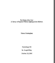 Sample Pages In Mla Format Essay Cover Page Essay Title Page Essay