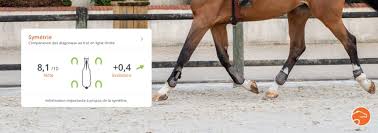 Encore aujourd'hui, sur le site internet des haras nationaux, on trouve un excellent article sur l'argile et son utilisation. Mon Cheval A Une Tendinite C Est Grave Docteur Equisense Blog