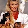Where to take cats and dogs in central florida? All Pets Clinic Ocala Fl Linkedin