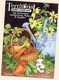 Pin On Plant Propagation