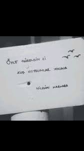 Oyle Guzelsin Ki Kus Koysunlar Yoluna Nilgun Marmara Ilham Veren Alintilar Alintilar Edebiyat