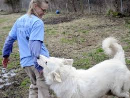 3139 veterans rd w, staten island, ny 10309. Shelter Gets By With A Little Help From Its Friends Local News Thesouthern Com