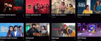 Watch Tamil Serial Zee5 Thriller Comedy Drama