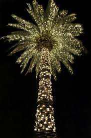 Pin By Ann Williams On Konfetti Inspiration Christmas Palm Tree Palm Tree Lights Charleston Christmas