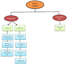 What are the issues with credit risk management: Risk Management In Banks Introducing Awesome Theory