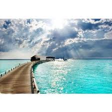 Despite technological and scientific advancements, the oceans remain a huge mystery. Ocean View Pvc Wallpaper For Home Size 58 Sq Feet Roll Size Rs 85 Square Feet Id 21731606155