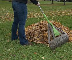 Northerntool.com has been visited by 100k+ users in the past month The Green Head Finds Cool New Stuff Related Tag Search For Yardwork