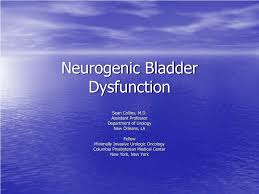 Ppt Neurogenic Bladder Dysfunction Powerpoint Presentation Free Download Id 228926