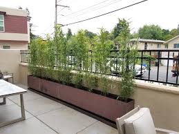 May 29, 2021 · growing bamboo in pots is possible for both varieties, though there will be a difference in how quickly you have to repot them. Containers Planter Boxes For Bamboo Bamboo Sourcery Nursery Gardens