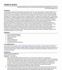 Senior Digital Project Manager Resume Example Global Team Blue Rochester Michigan