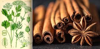 Image result for Anisosepalum