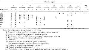 Image result for Tristachya rehmannii