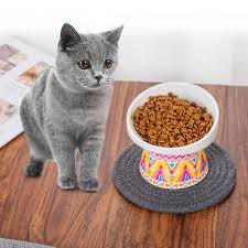 Does your cat gulp and gobble down every bit of food in her bowl in what seems to be just a matter of seconds? Ceramic Tilted Elevated Cat Dog Bowl Raised Cat Food Water Bowl Dish No Spill Pet Comfort Feeding Bowls With Mat Cat Feeding Watering Supplies Aliexpress