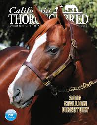 California Thoroughbred 2016 Stallion Directory By Ctba Issuu
