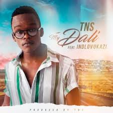 Download Mp3 Tns My Dali Ft Indlovukazi Fakaza