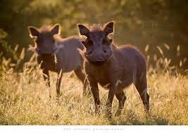 The speed at which my data is going And at which the bag is moving  👇🏾👇🏾👇🏾👇🏾👇🏾👇🏾