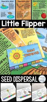 This Amazing Booklet Is All About Seed Dispersal The Methods Included Are Dispersal By Attachment Animals G Seed Dispersal Stem Challenges Parts Of A Flower